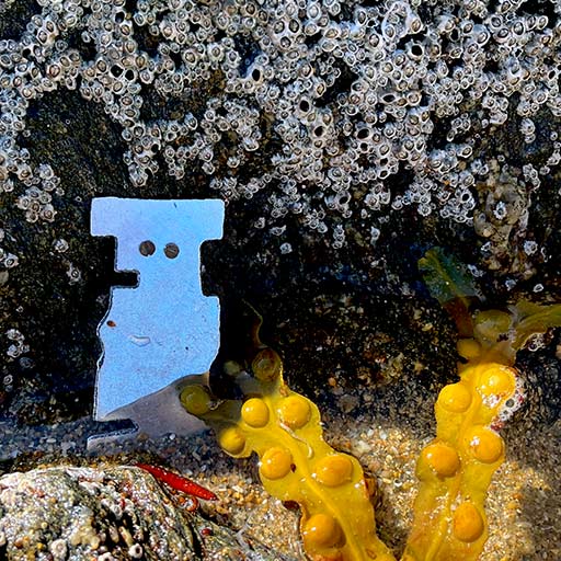 robot bathing robot bathing